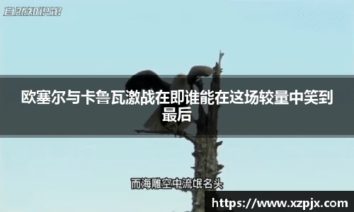 快盈